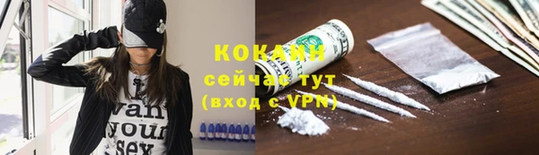 трава Ельня