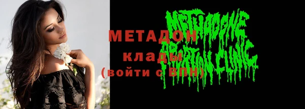 трава Ельня
