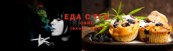 трава Ельня