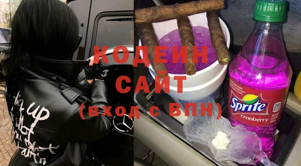 трава Ельня