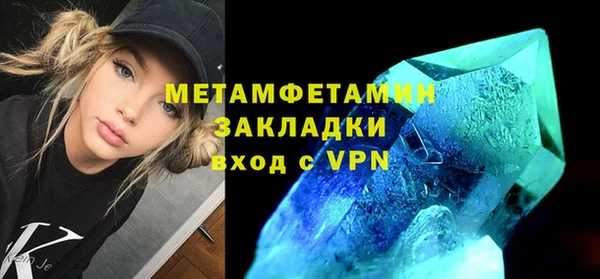 трава Ельня