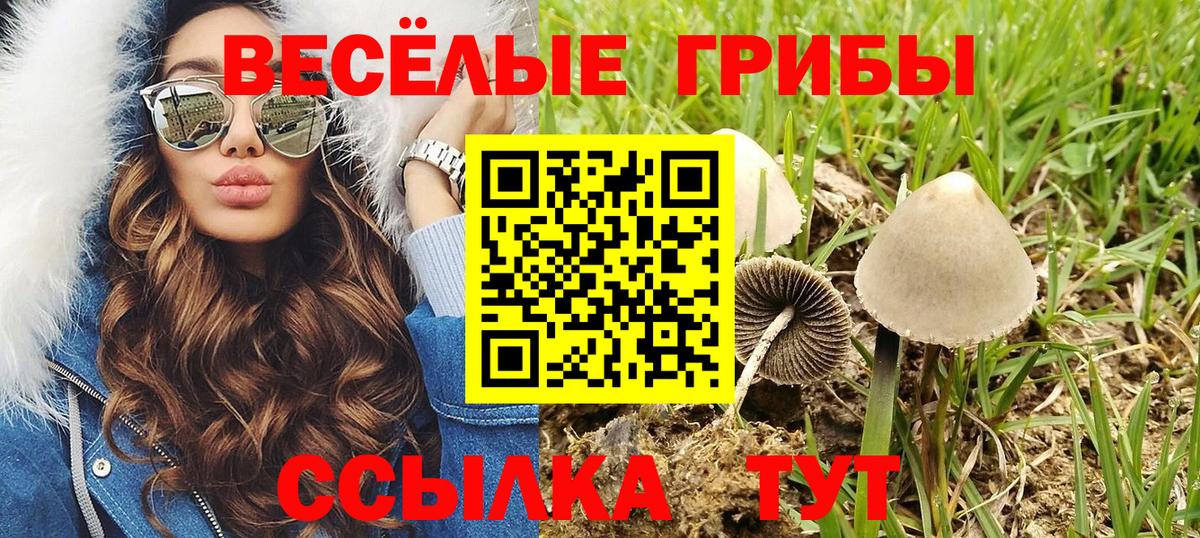 Псилоцибиновые грибы мухоморы Северобайкальск