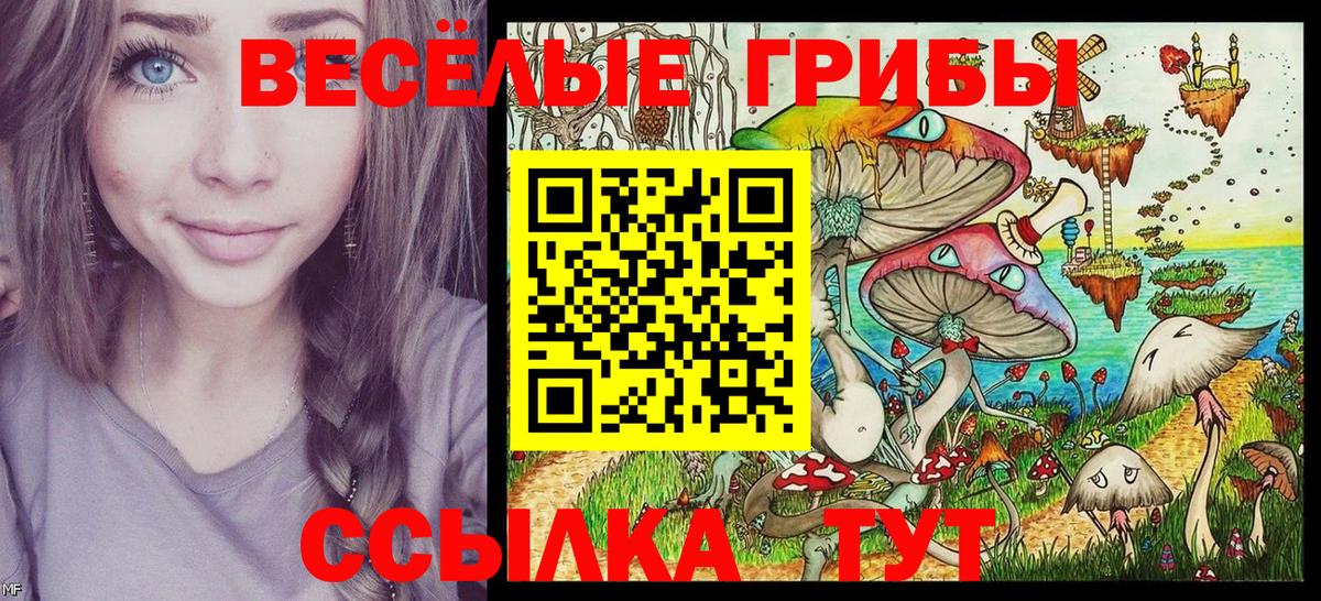 Галлюциногенные грибы Magic Shrooms  Вход с VPN  Северобайкальск 