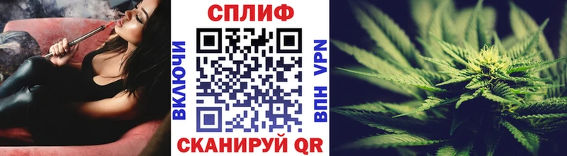 Марихуана MAZAR omg вход Северобайкальск